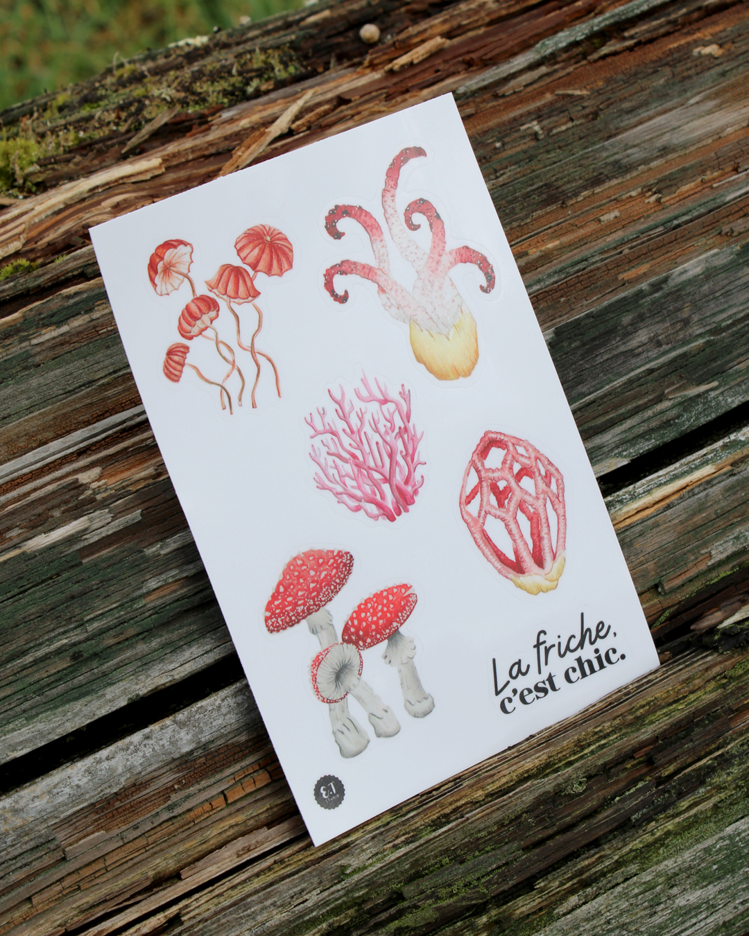 illustration, dessin, champignons, créatrice française, impression locale, idée cadeau, made in france, kapsule éphémère