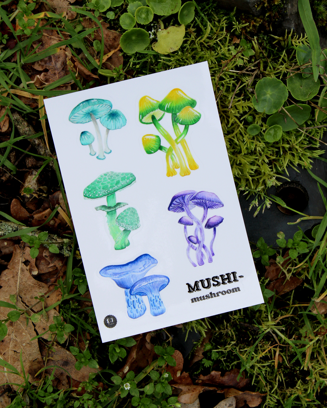 illustration, dessin, champignons, créatrice française, impression locale, idée cadeau, made in france, kapsule éphémère