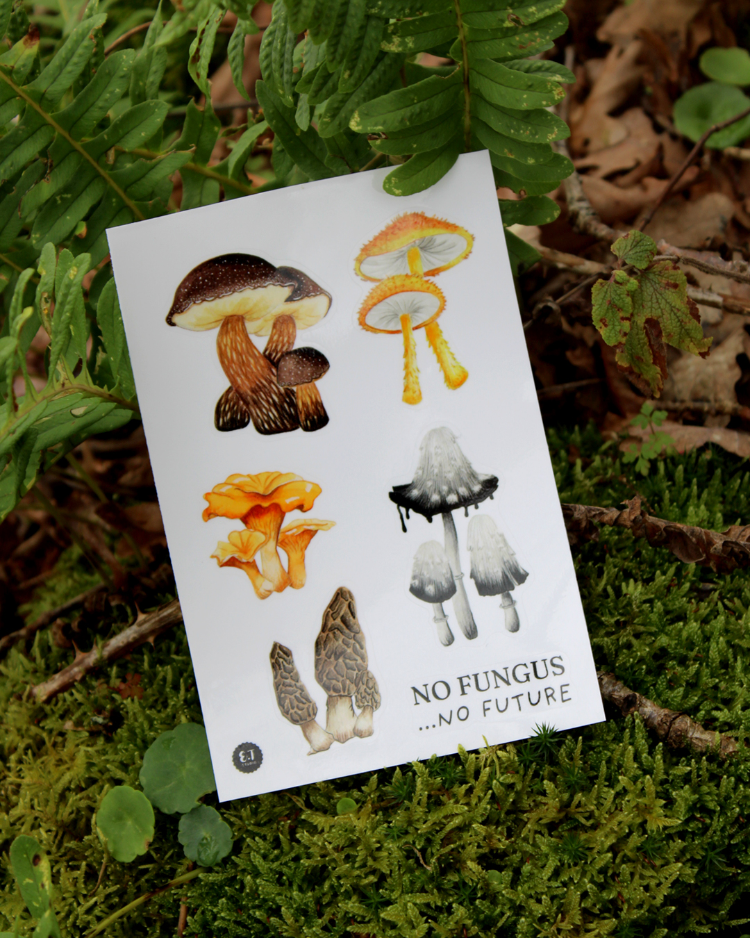 illustration, dessin, champignons, créatrice française, impression locale, idée cadeau, made in france, kapsule éphémère