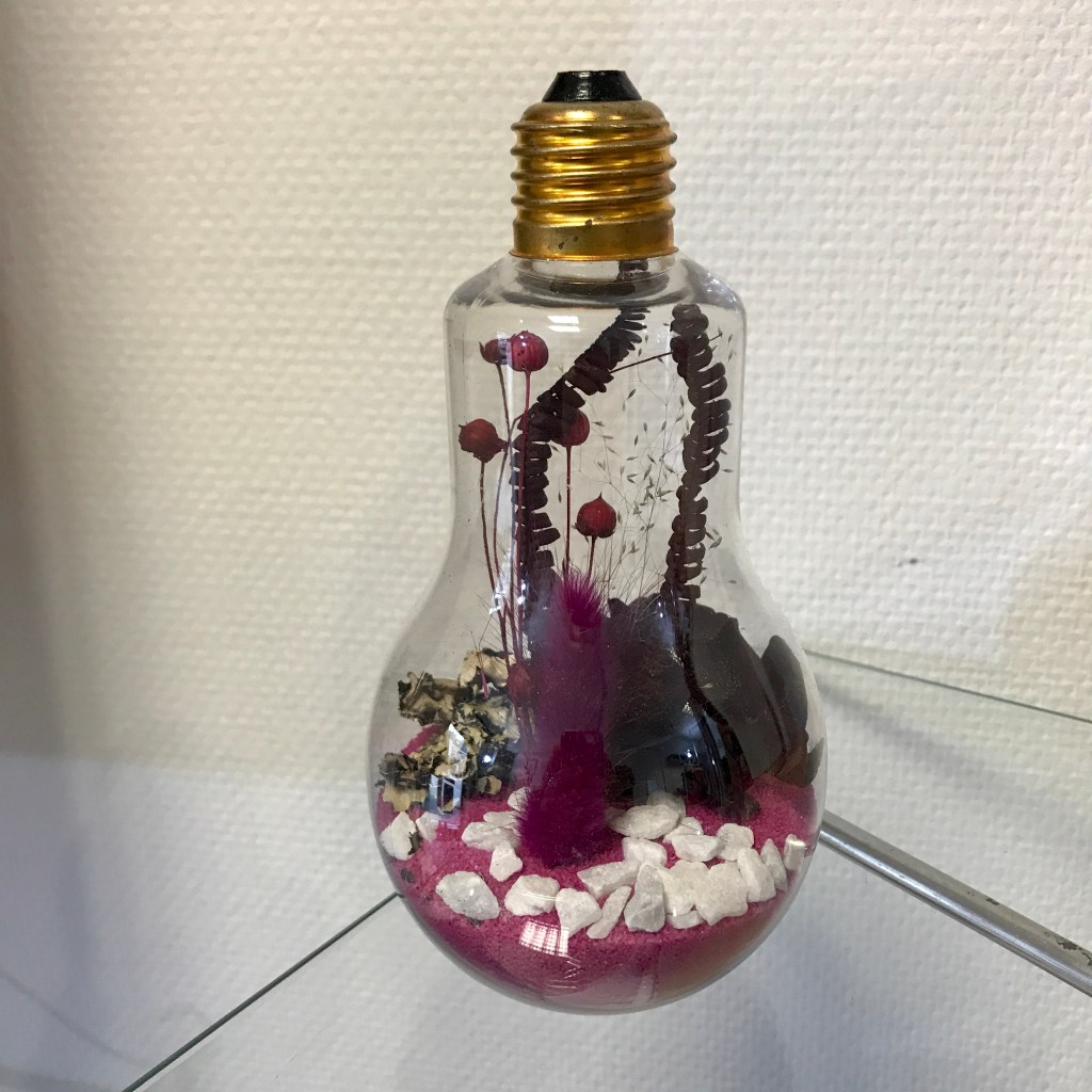 ampoule végétale, fleurs séchées, fleurs stabilisées, décoration, idée cadeau, noël, créatrice, fait main, fabrication française, local