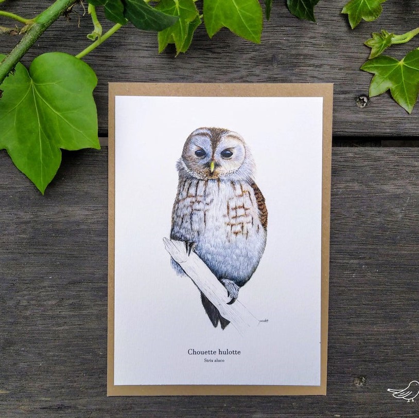 carte postale, dessin, aquarelle, illustration, oiseau, nature, idée de cadeau, déco, impression locale, créatrice française, boutique de créateurs, boutique nantaise, kapsule éphémère
