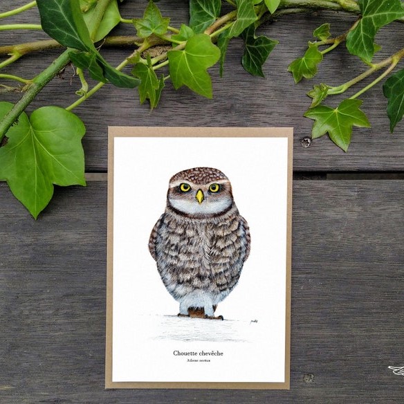 carte postale, dessin, aquarelle, illustration, oiseau, nature, idée de cadeau, déco, impression locale, créatrice française, boutique de créateurs, boutique nantaise, kapsule éphémère