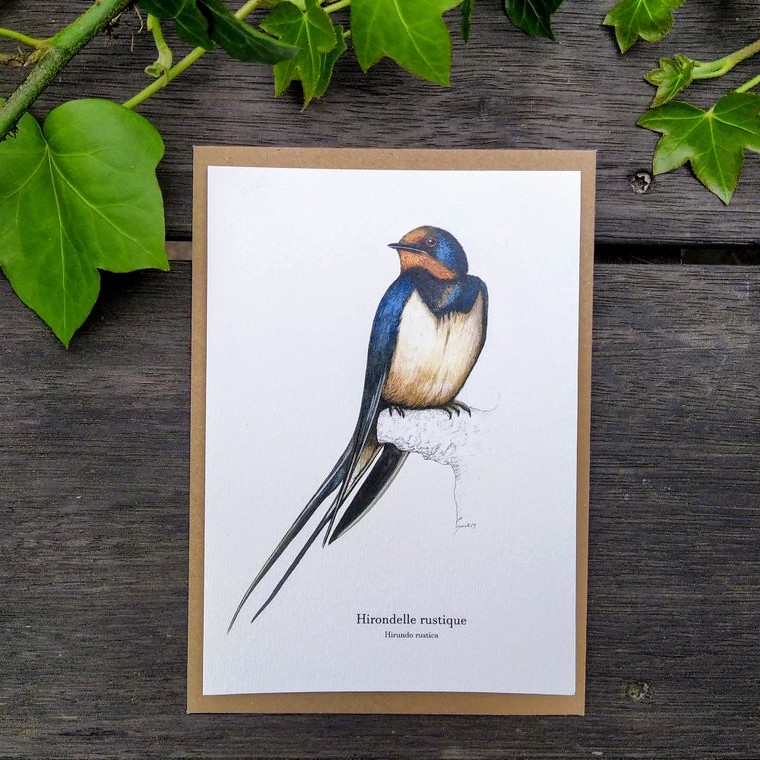 carte postale, dessin, aquarelle, illustration, oiseau, nature, idée de cadeau, déco, impression locale, créatrice française, boutique de créateurs, boutique nantaise, kapsule éphémère
