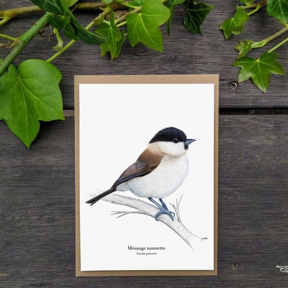 carte postale, dessin, aquarelle, illustration, oiseau, nature, idée de cadeau, déco, impression locale, créatrice française, boutique de créateurs, boutique nantaise, kapsule éphémère