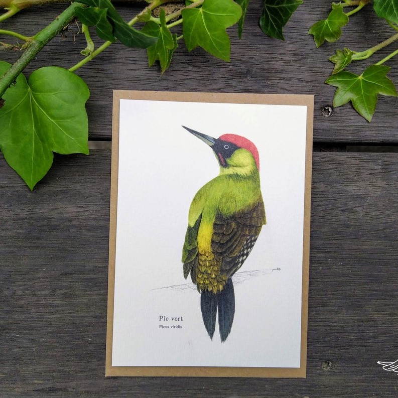 carte postale, dessin, aquarelle, illustration, oiseau, nature, idée de cadeau, déco, impression locale, créatrice française, boutique de créateurs, boutique nantaise, kapsule éphémère