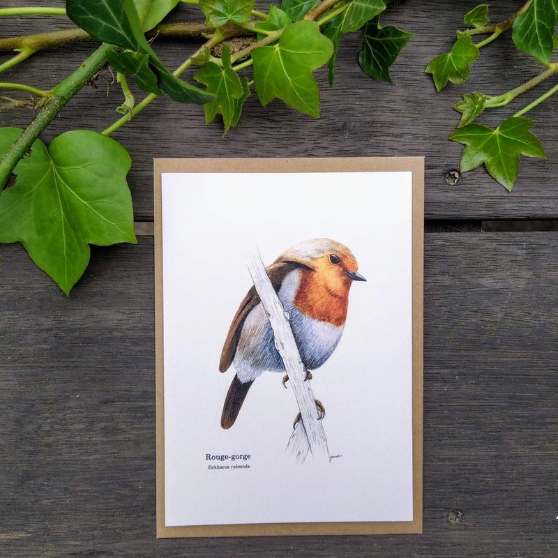 carte postale, dessin, aquarelle, illustration, oiseau, nature, idée de cadeau, déco, impression locale, créatrice française, boutique de créateurs, boutique nantaise, kapsule éphémère