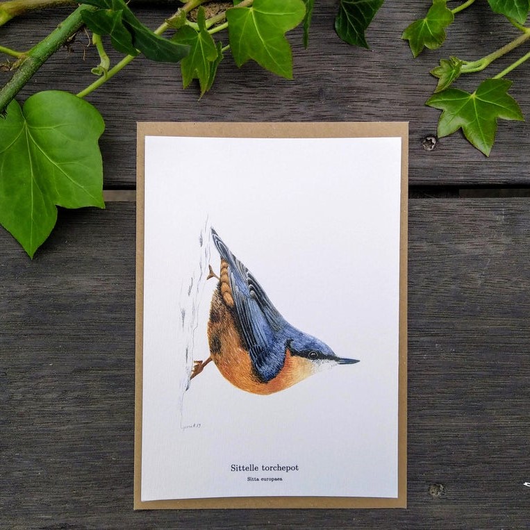 carte postale, dessin, aquarelle, illustration, oiseau, nature, idée de cadeau, déco, impression locale, créatrice française, boutique de créateurs, boutique nantaise, kapsule éphémère