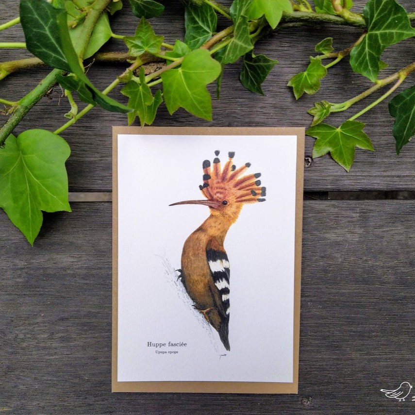 carte postale, dessin, aquarelle, illustration, oiseau, nature, idée de cadeau, déco, impression locale, créatrice française, boutique de créateurs, boutique nantaise, kapsule éphémère
