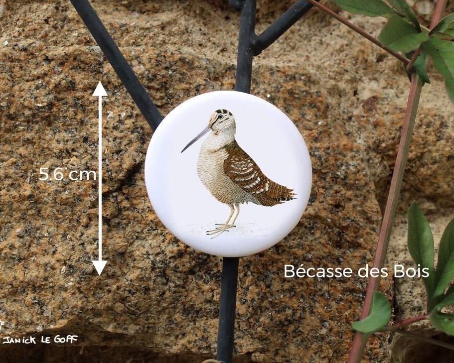 carte postale, dessin, aquarelle, illustration, oiseau, nature, idée de cadeau, déco, impression locale, créatrice française, boutique de créateurs, boutique nantaise, kapsule éphémère