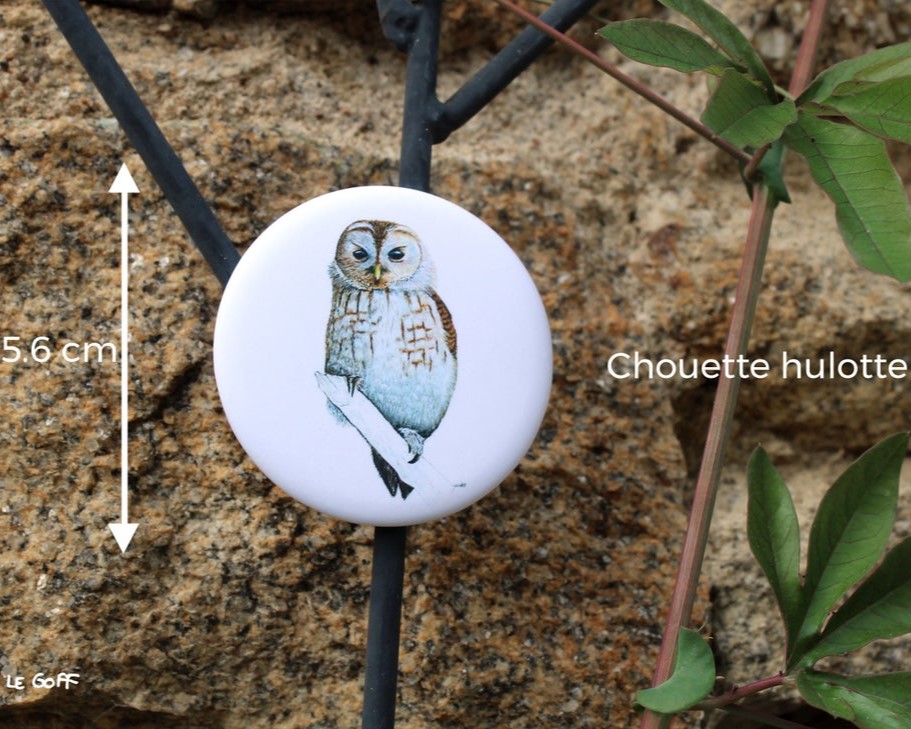 carte postale, dessin, aquarelle, illustration, oiseau, nature, idée de cadeau, déco, impression locale, créatrice française, boutique de créateurs, boutique nantaise, kapsule éphémère