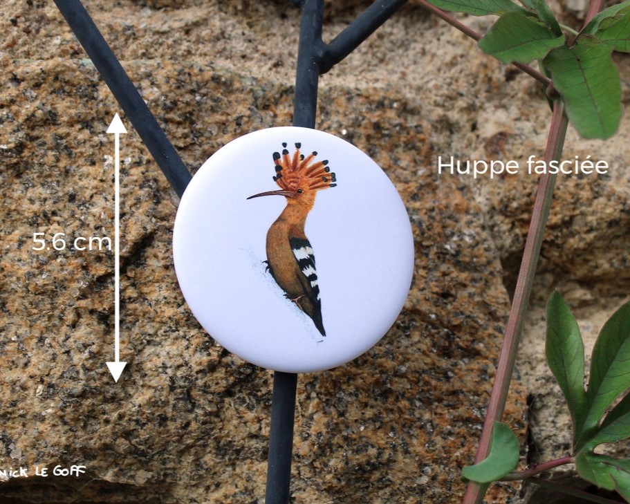 carte postale, dessin, aquarelle, illustration, oiseau, nature, idée de cadeau, déco, impression locale, créatrice française, boutique de créateurs, boutique nantaise, kapsule éphémère