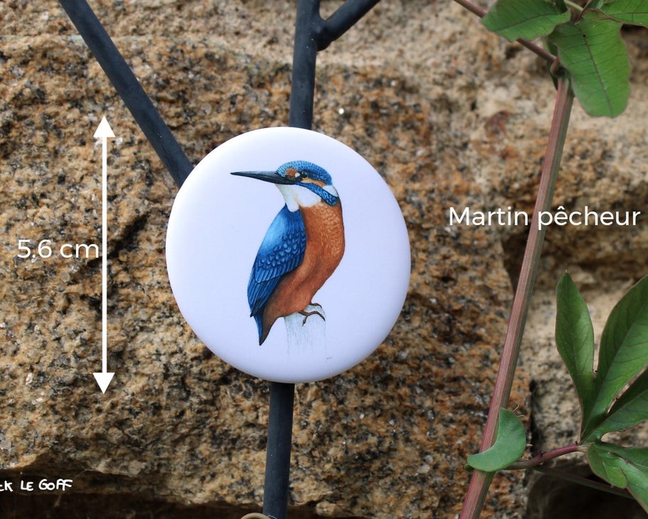 carte postale, dessin, aquarelle, illustration, oiseau, nature, idée de cadeau, déco, impression locale, créatrice française, boutique de créateurs, boutique nantaise, kapsule éphémère