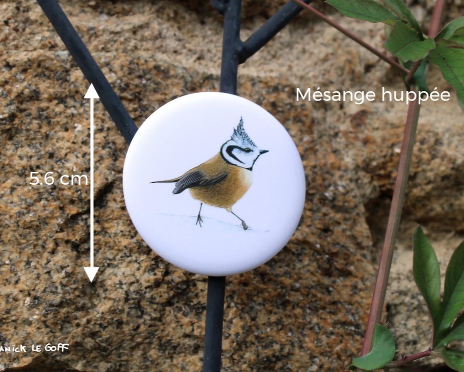 carte postale, dessin, aquarelle, illustration, oiseau, nature, idée de cadeau, déco, impression locale, créatrice française, boutique de créateurs, boutique nantaise, kapsule éphémère