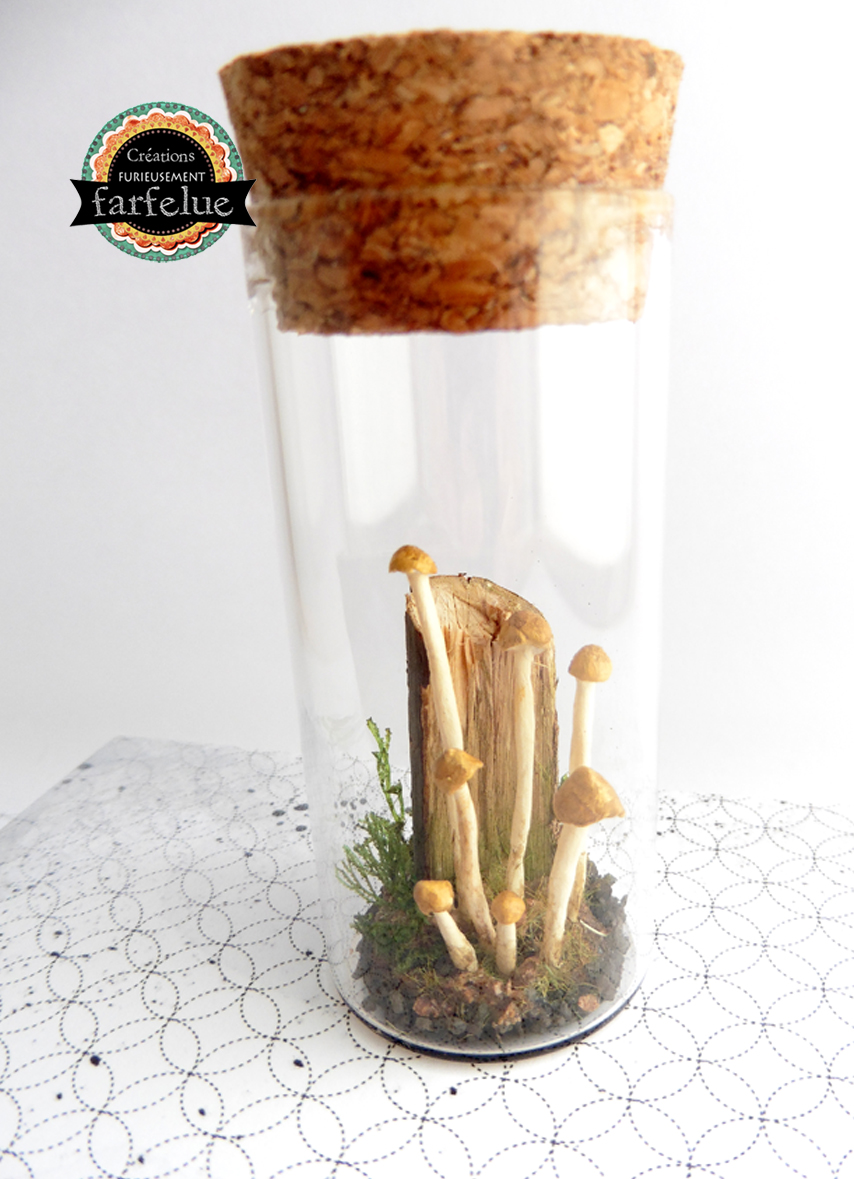 miniature, dôme, nature, fait main, déco, modèle unique , idée cadeau, création française, boutique de créateurs, boutique nantaise, kapsule éphémère