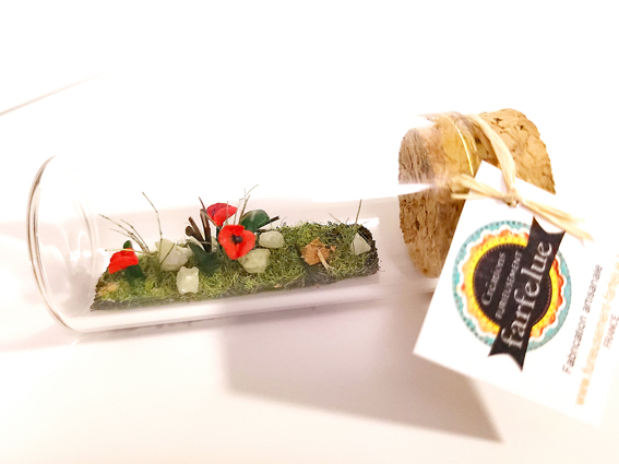 miniature, dôme, nature, fait main, déco, modèle unique , idée cadeau, création française, boutique de créateurs, boutique nantaise, kapsule éphémère