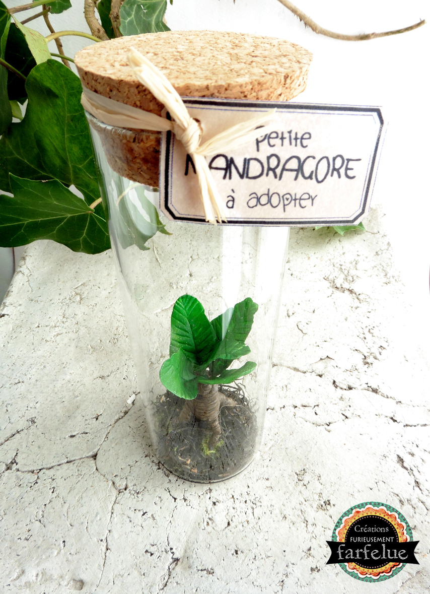 miniature, dôme, nature, fait main, déco, modèle unique , idée cadeau, création française, boutique de créateurs, boutique nantaise, kapsule éphémère