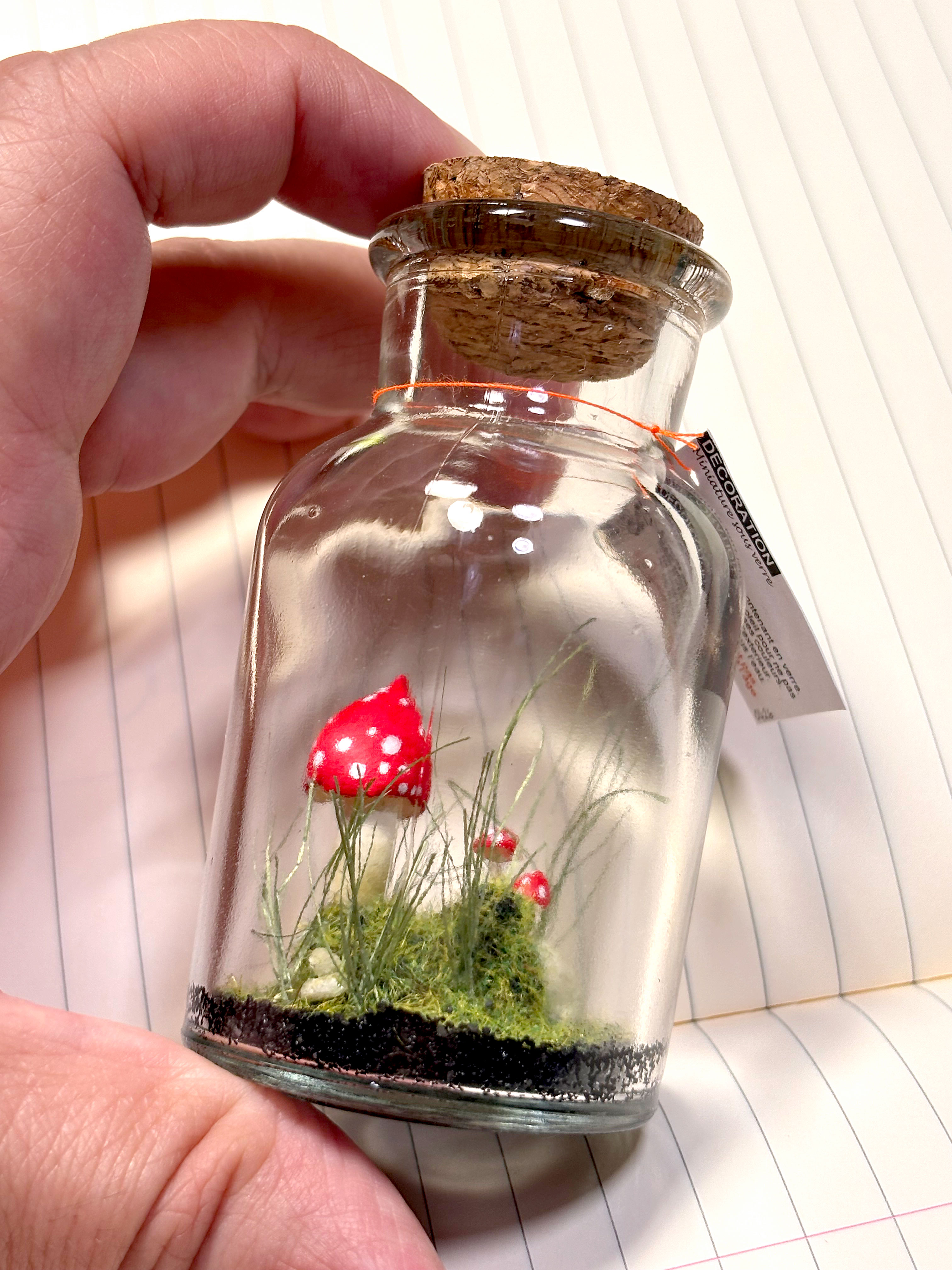 miniature, dôme, nature, fait main, déco, modèle unique , idée cadeau, création française, boutique de créateurs, boutique nantaise, kapsule éphémère