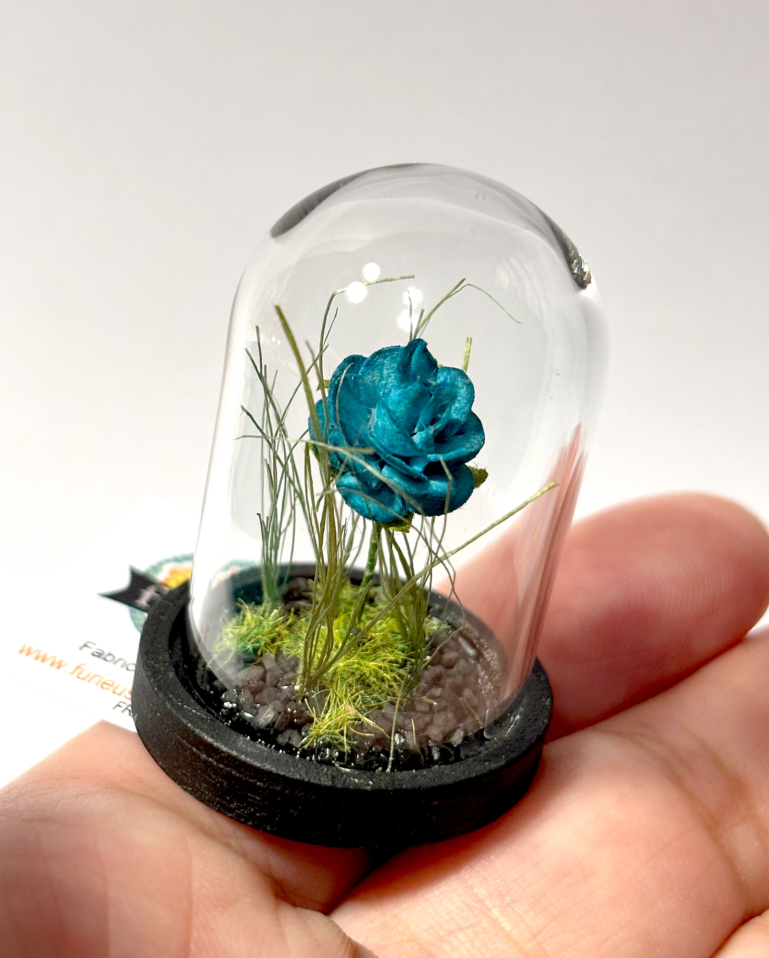 miniature, dôme, nature, fait main, déco, modèle unique , idée cadeau, création française, boutique de créateurs, boutique nantaise, kapsule éphémère