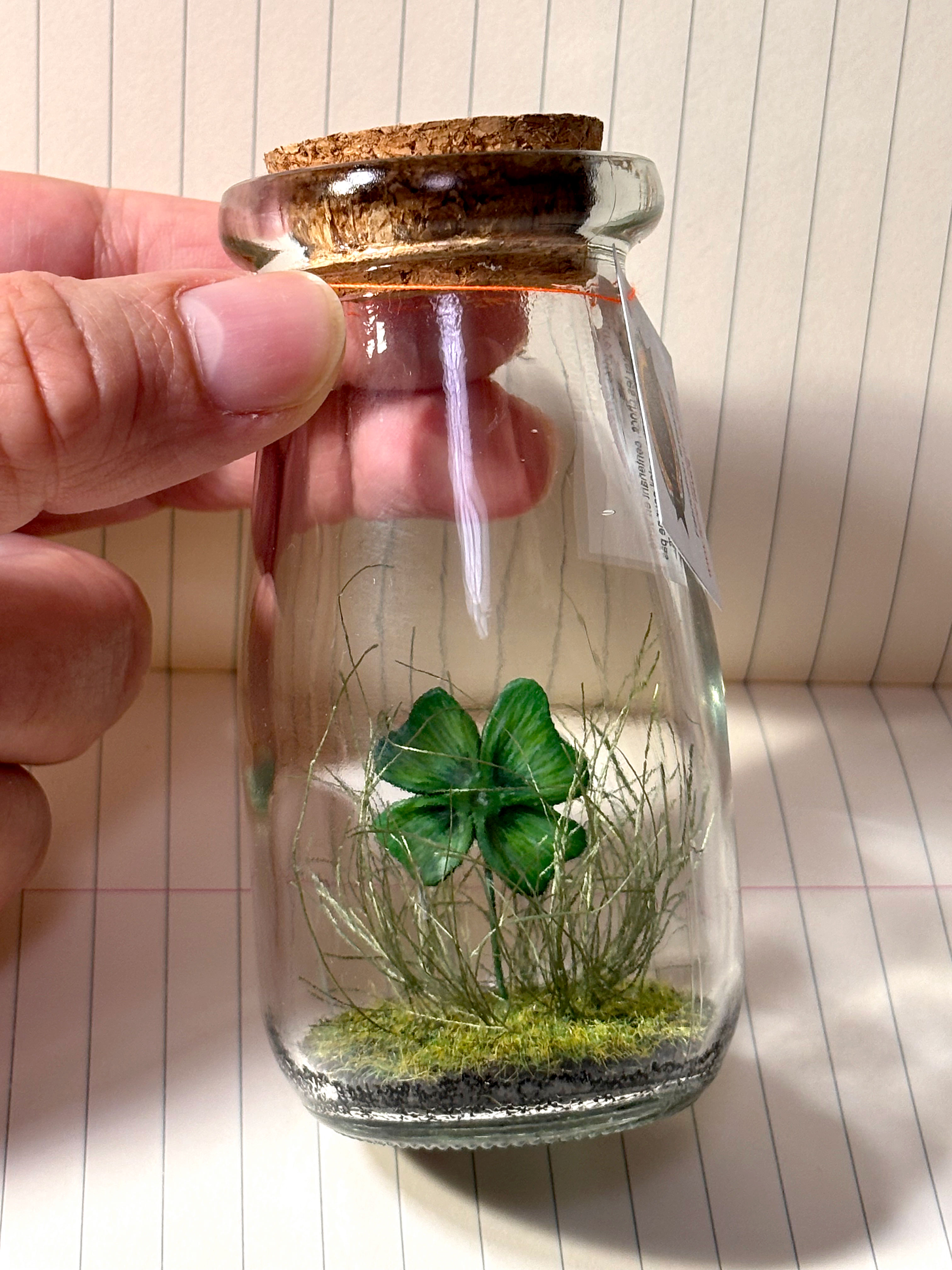 miniature, dôme, nature, fait main, déco, modèle unique , idée cadeau, création française, boutique de créateurs, boutique nantaise, kapsule éphémère