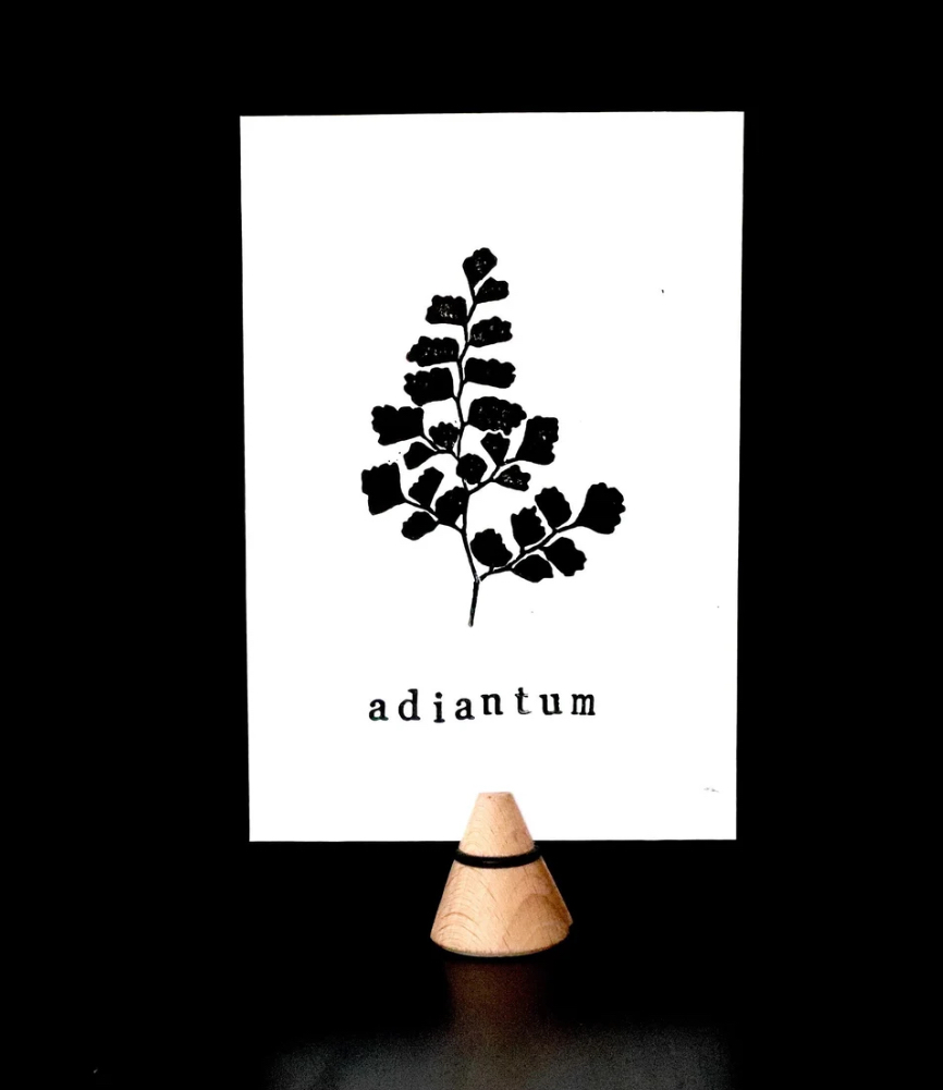 linogravure, illustration, dessin, déco, idée cadeau, cadeau de noël, créatrice française, made in france, fabrication locale, boutique de créateurs, boutique nantaise, kapsule éphémère