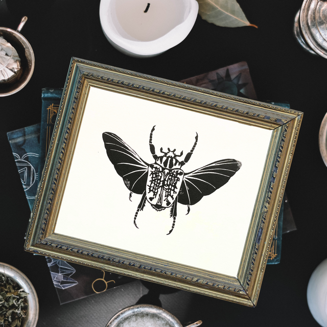 linogravure, illustration, dessin, déco, idée cadeau, cadeau de noël, créatrice française, made in france, fabrication locale, boutique de créateurs, boutique nantaise, kapsule éphémère