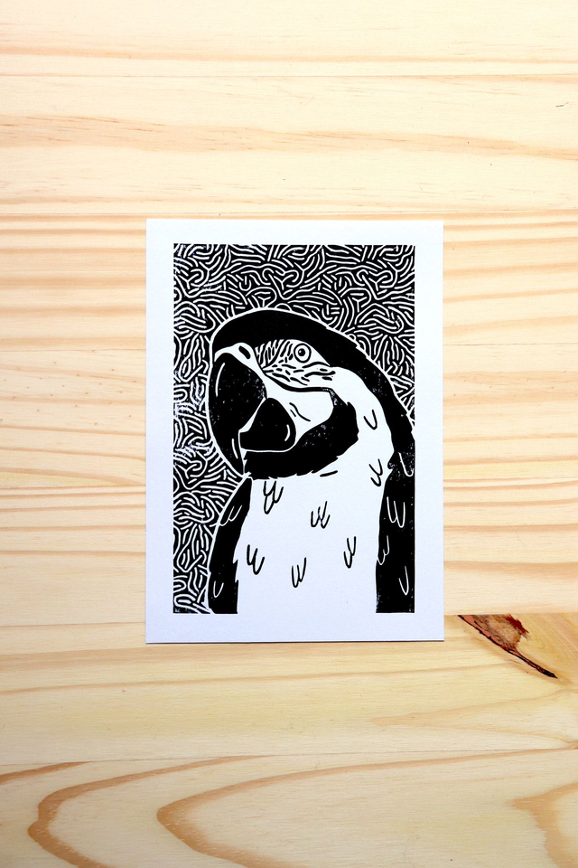 linogravure, illustration, dessin, déco, idée cadeau, cadeau de noël, créatrice française, made in france, fabrication locale, boutique de créateurs, boutique nantaise, kapsule éphémère