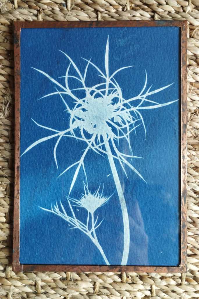 cadre, déco, cyanotype, photographie, illustration, fait main, idée cadeau, cadeau de noël, artiste, créatrice, créateur nantais, fabrication artisanale, locale, made in france, modèle unique