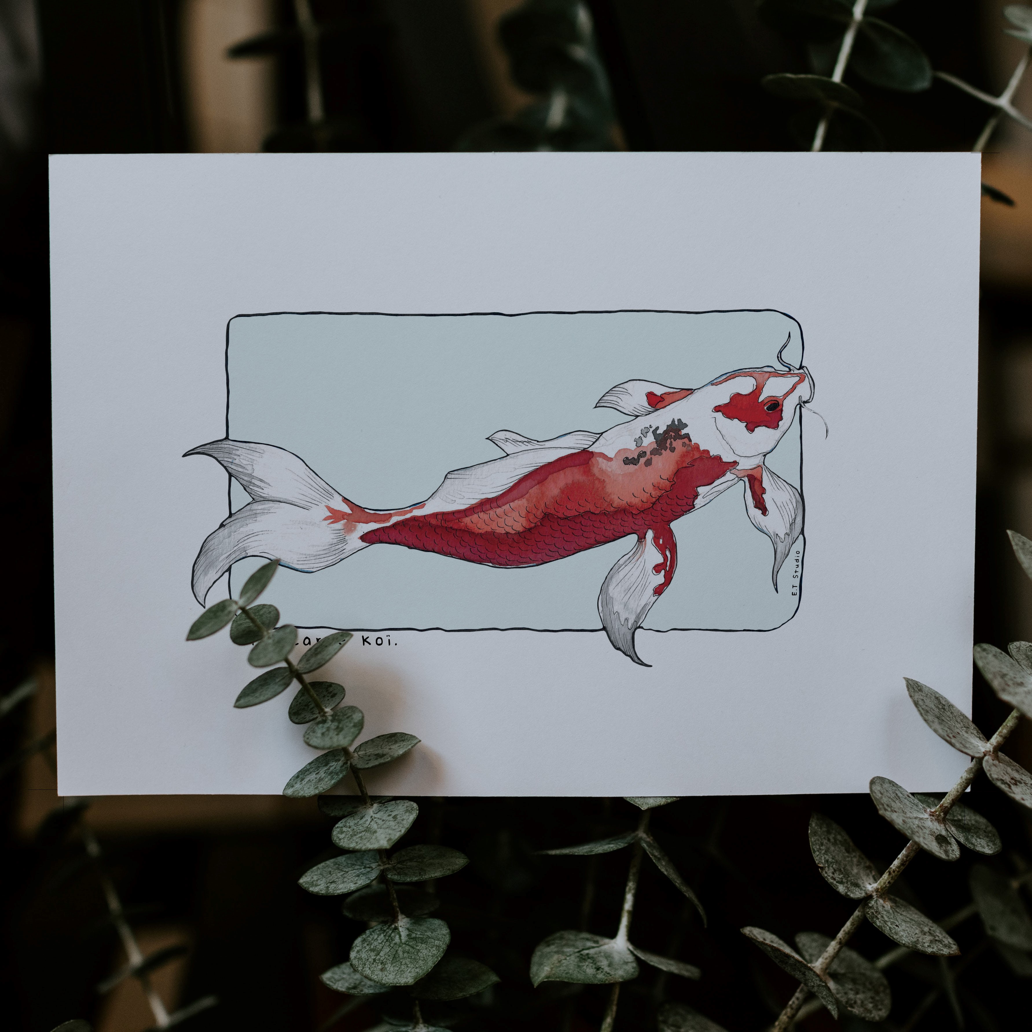 carte, illustration, dessin, insectes, créatrice française, impression locale, idée cadeau, made in france, kapsule éphémère