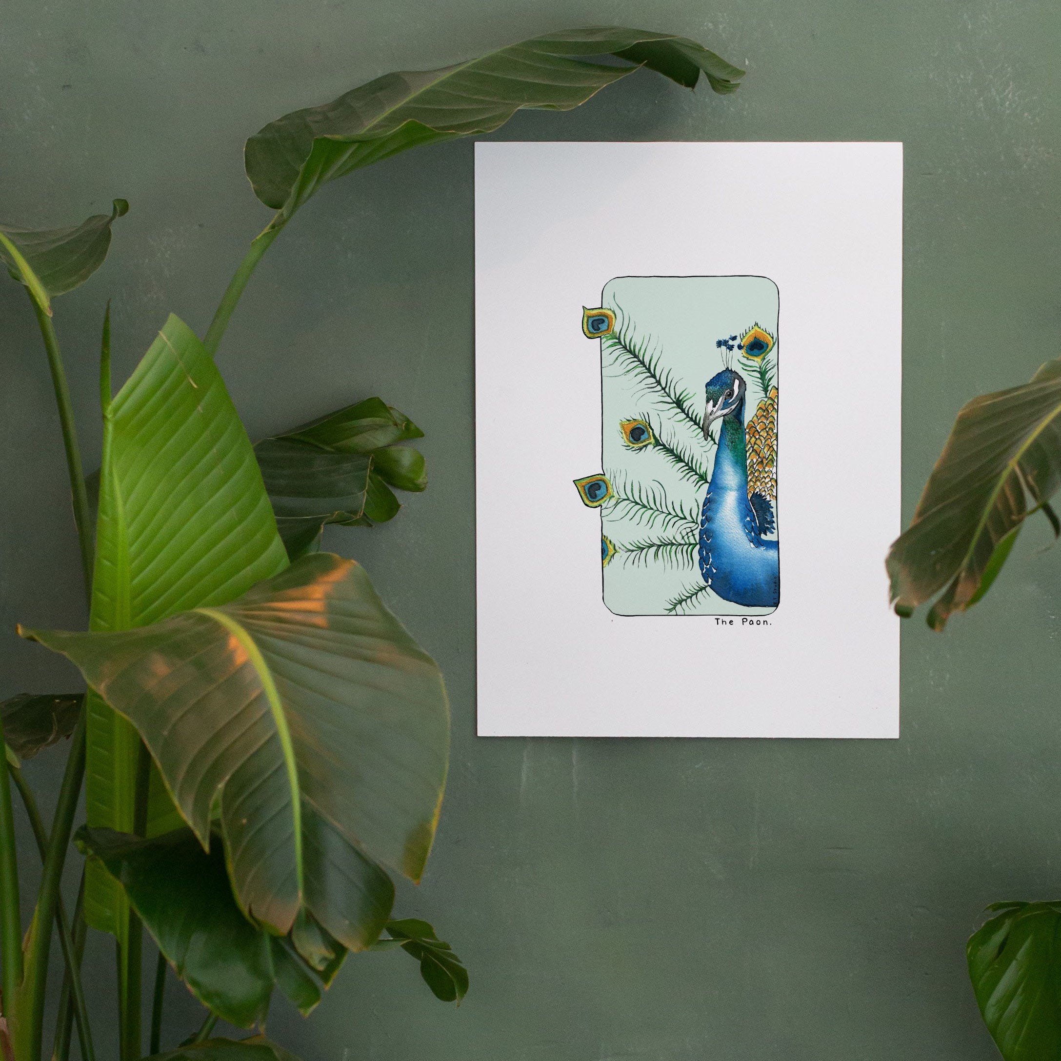 carte, illustration, dessin, insectes, créatrice française, impression locale, idée cadeau, made in france, kapsule éphémère