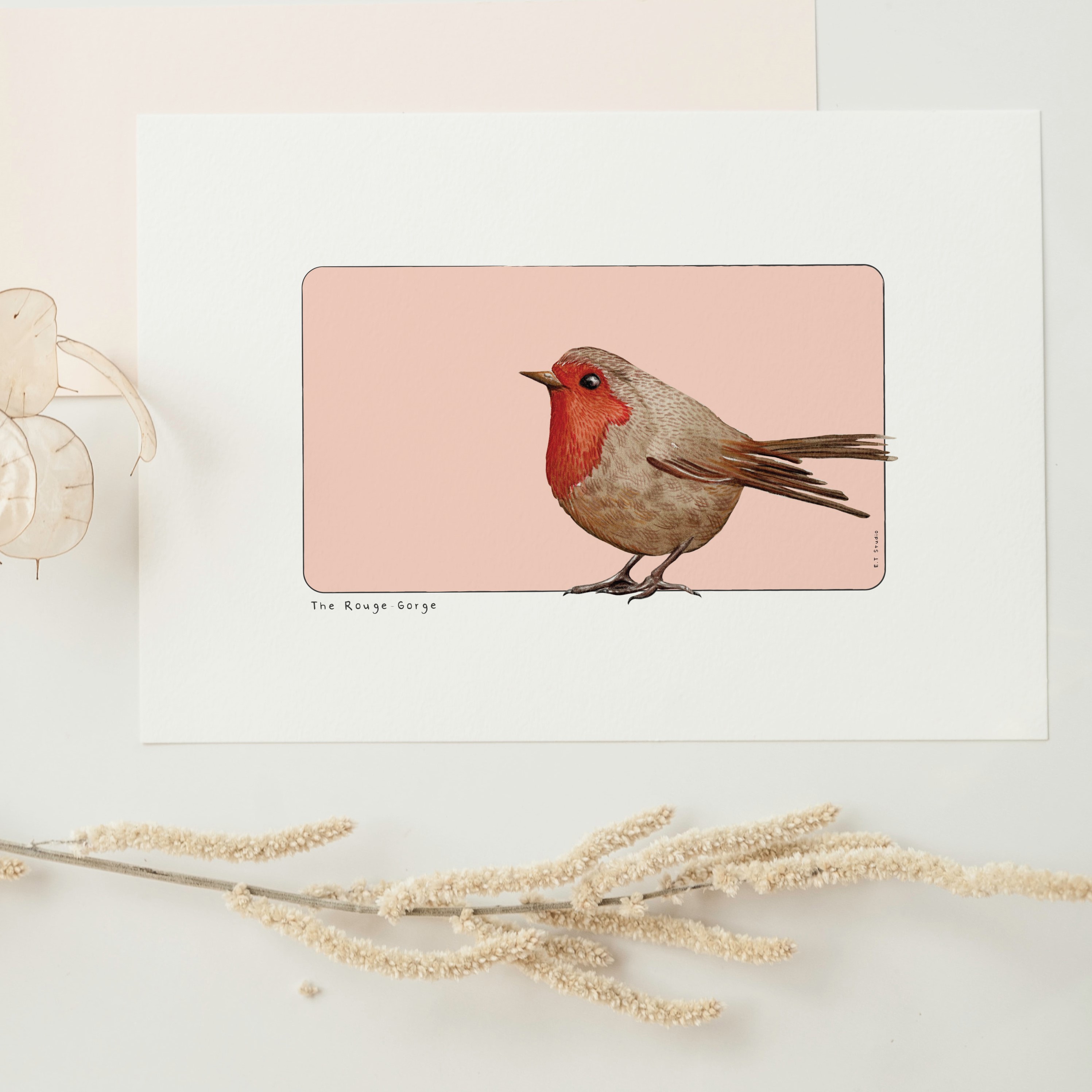 carte, illustration, dessin, insectes, créatrice française, impression locale, idée cadeau, made in france, kapsule éphémère