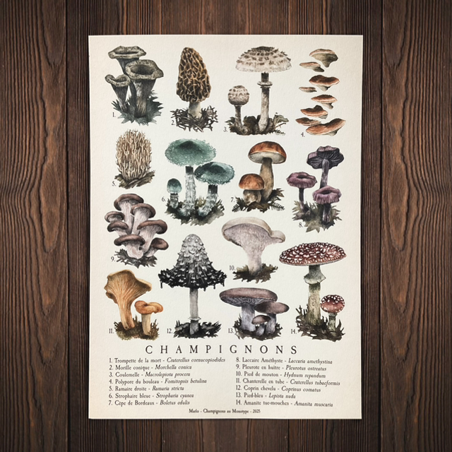 linogravure, cyanotype, illustration, dessin, édition limitée, fait main, modèle unique, déco, idée cadeau, créatrice française, fabrication artisanale, boutique de créateurs, kapsule éphémère