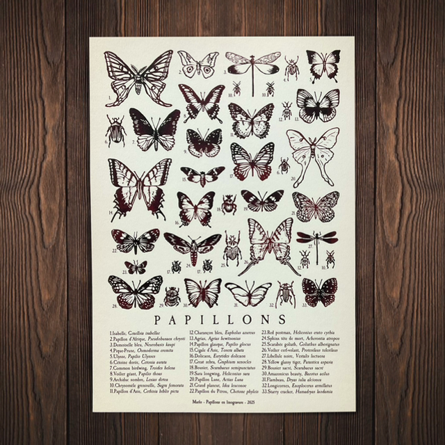 linogravure, cyanotype, illustration, dessin, édition limitée, fait main, modèle unique, déco, idée cadeau, créatrice française, fabrication artisanale, boutique de créateurs, kapsule éphémère