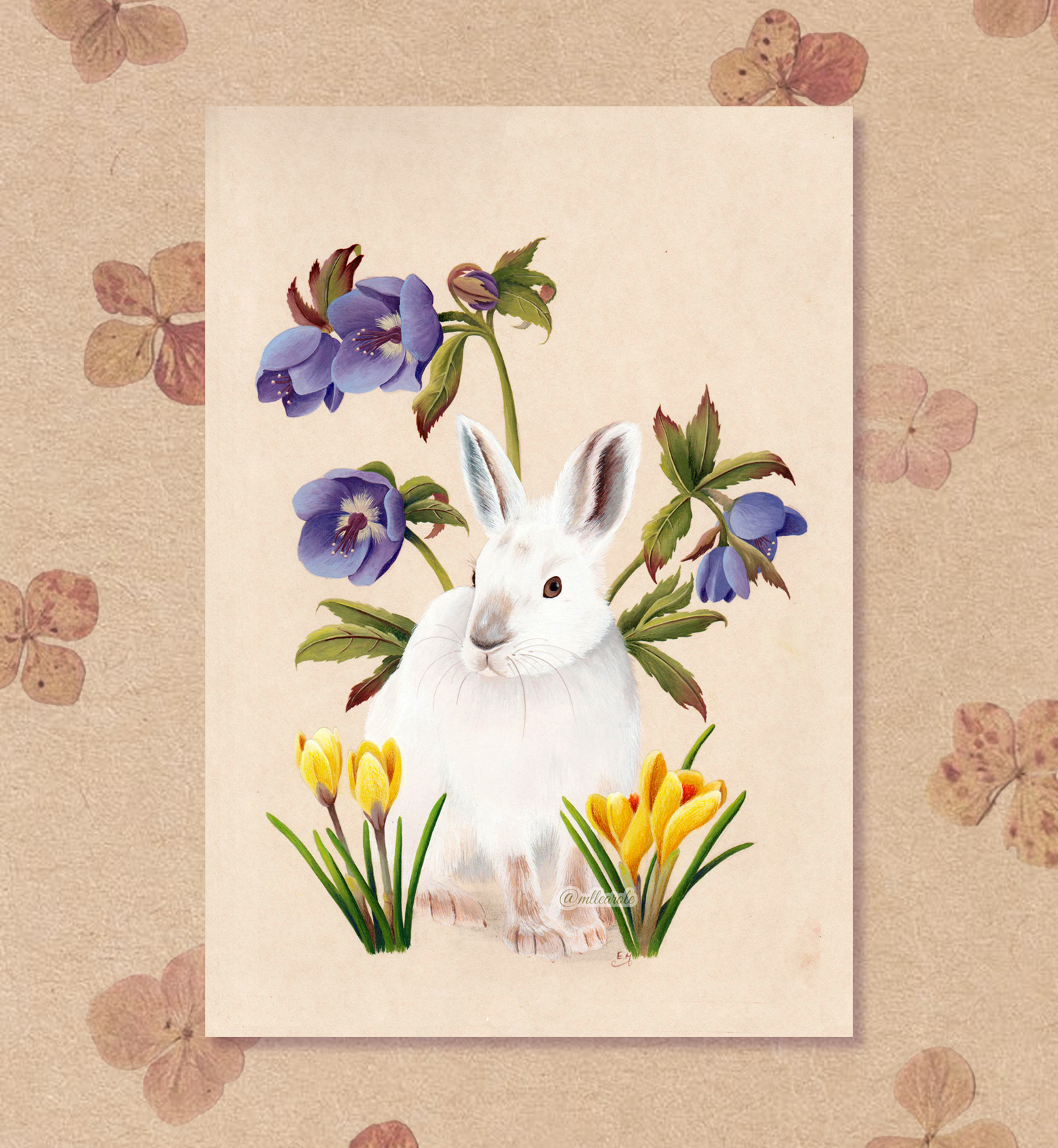 carte, affiche, carterie, dessin, peinture, gouache, illustration, déco, fait main, idée cadeau, créatrice, made in france, boutique de créateurs, kapsule éphémère