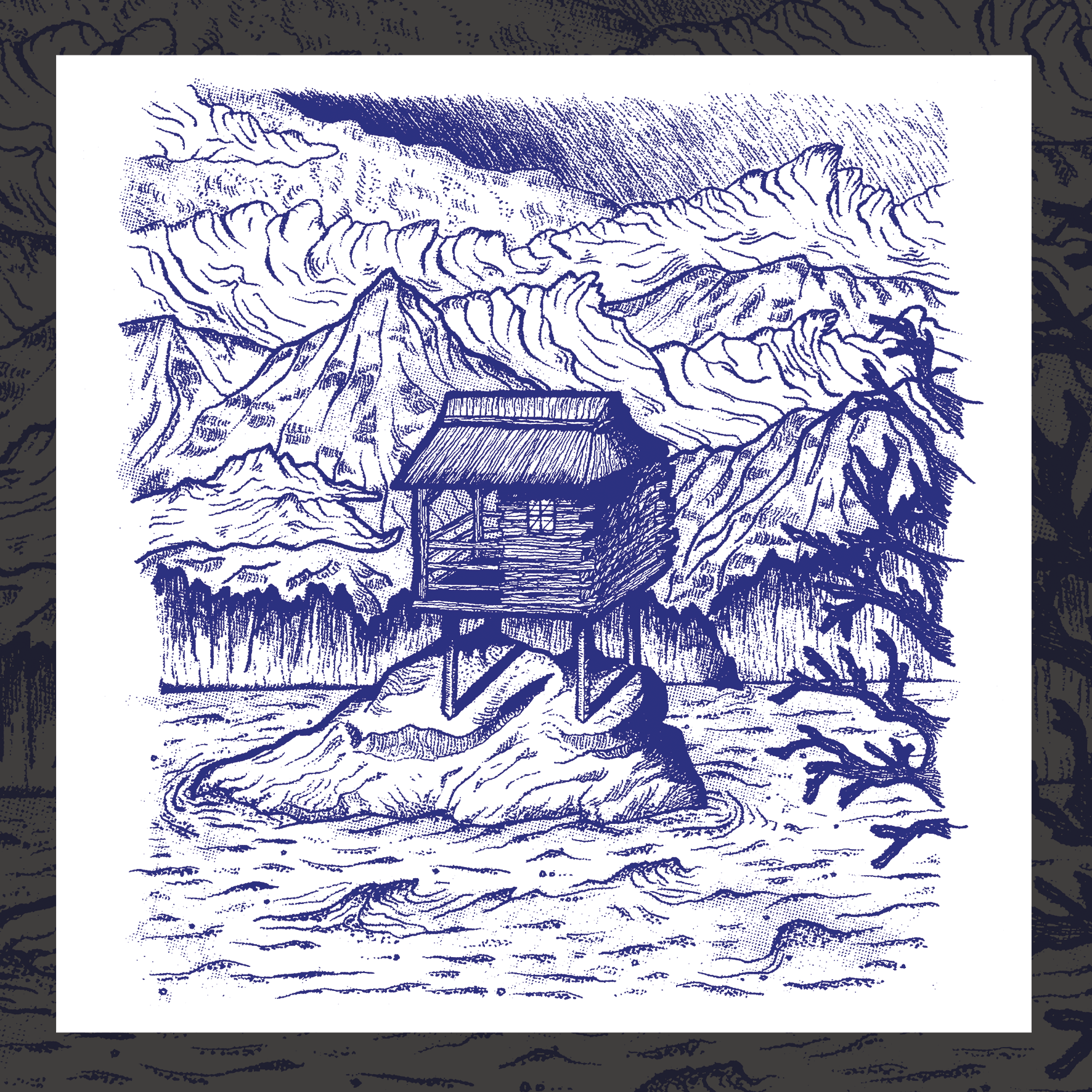 sérigraphie, illustration, dessin, nature, édition limitée, modèle unique, fait main, artisanal, idée cadeau, déco, création française, fabrication locale, boutique de créateurs, boutique nantaise, kapsule éphémère