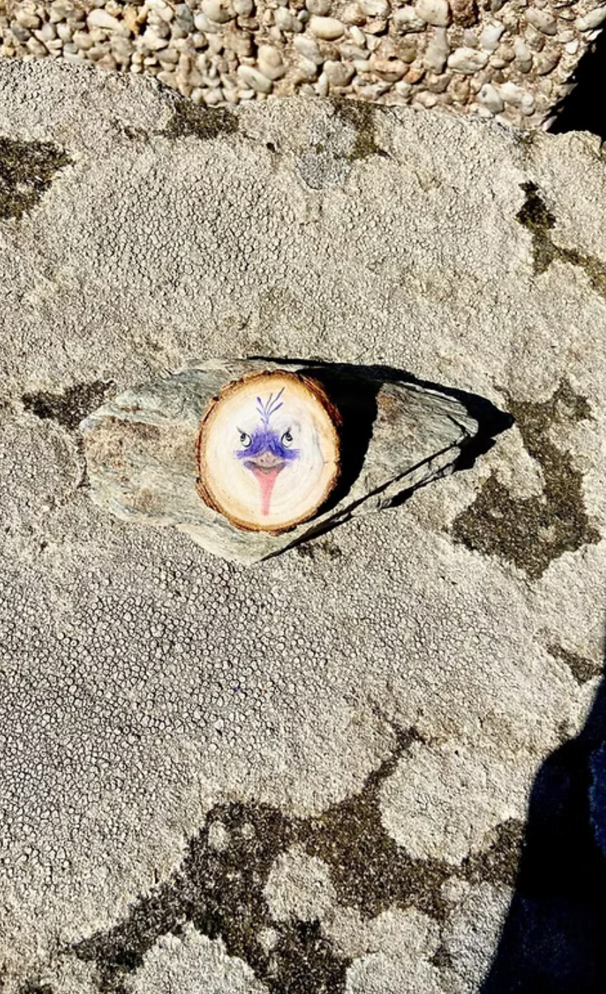 illustration, dessin, broche, barrettes, jeu, jeunesse, carte, affiche, création française, fait main, idée cadeau, boutique de créateurs, boutique nantaise, kapsule éphémère